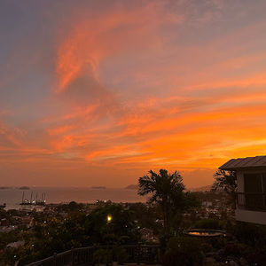 Meet your Posher, Natasha